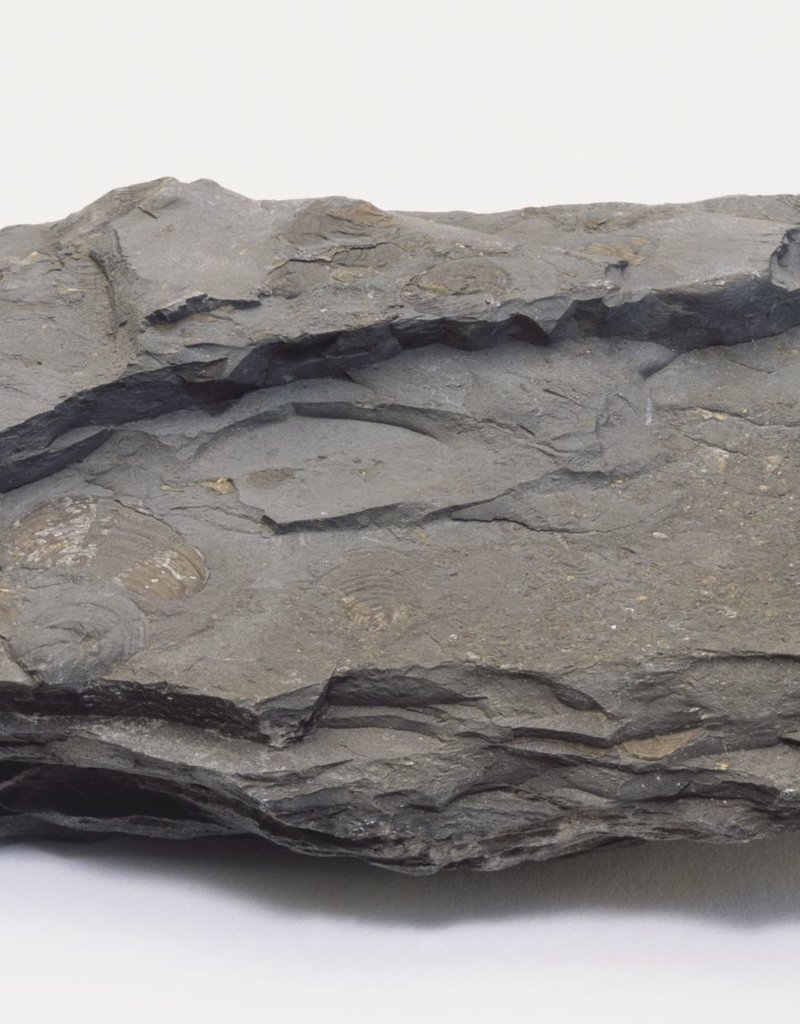 Slate Rock - Per Pound