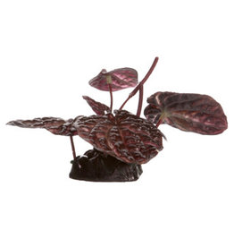 Fluval Fluval Red Lotus - Small - 10 cm (4in) with Base