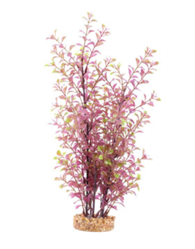 Fluval Fluval Aqualife Plant Scapes Red Ludwigia - 35.5 cm (14 in)