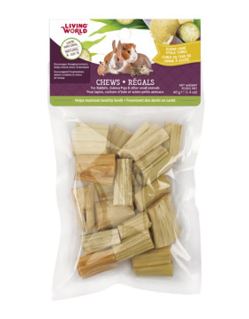 Living World Small Animal Chews - Sugarcane Stalk Cubes - 40 g