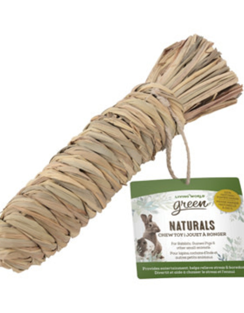 Living World Green Naturals Chew Toy - Carrot