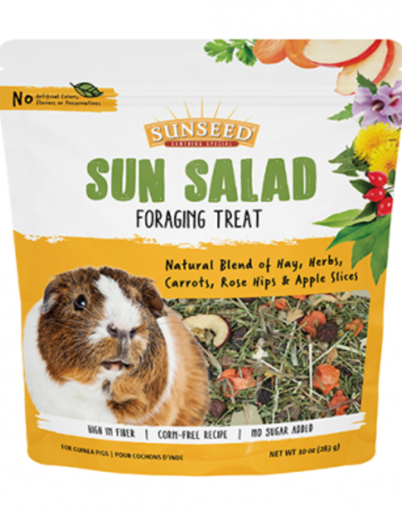 Sunseed Sunseed Sun Salad Guinea Pig 10oz