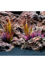 Marina Marina Double Sided Aquarium Background - Jungle Flora/Red Lace - 12" x 24"