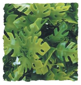 Zoo Med Zoo Med Amazonian Phyllo - Small