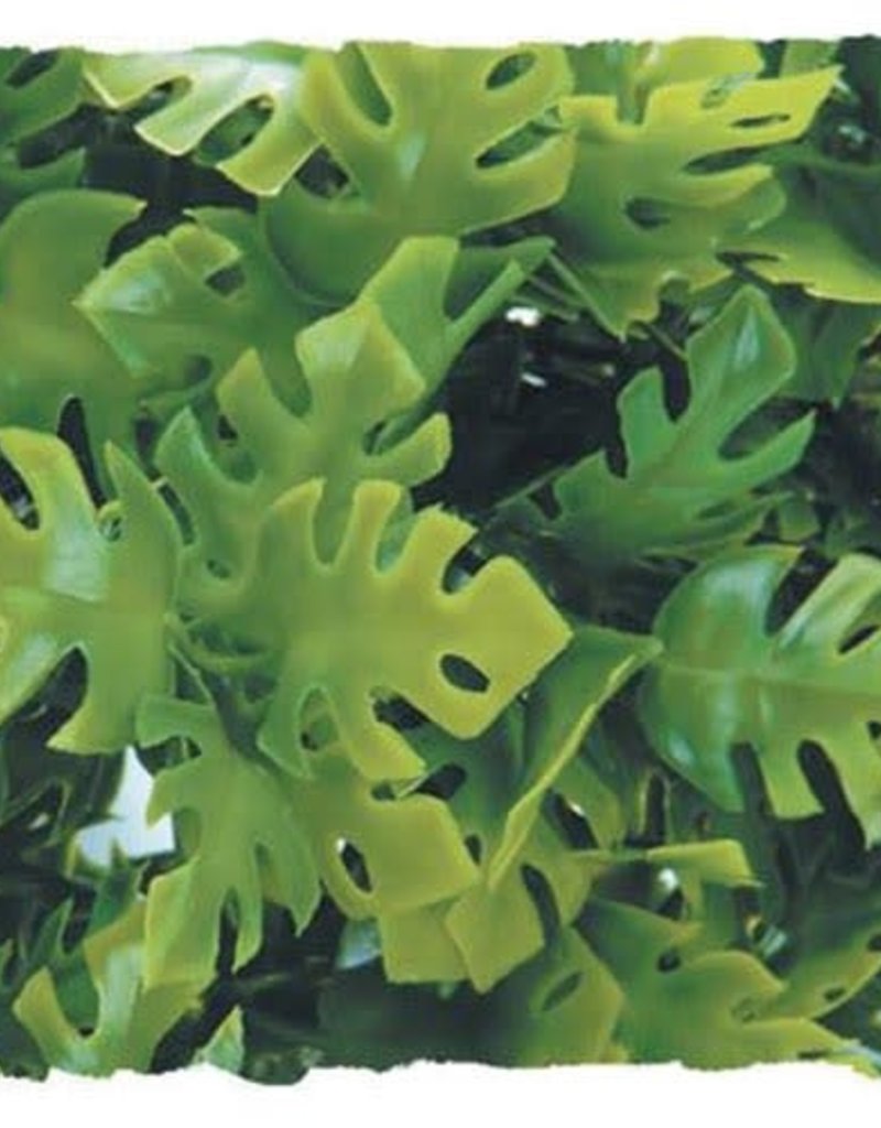 Zoo Med Zoo Med Amazonian Phyllo - Small