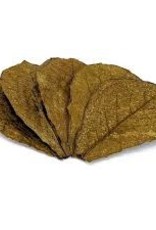 Indian Almond Leaves - Small