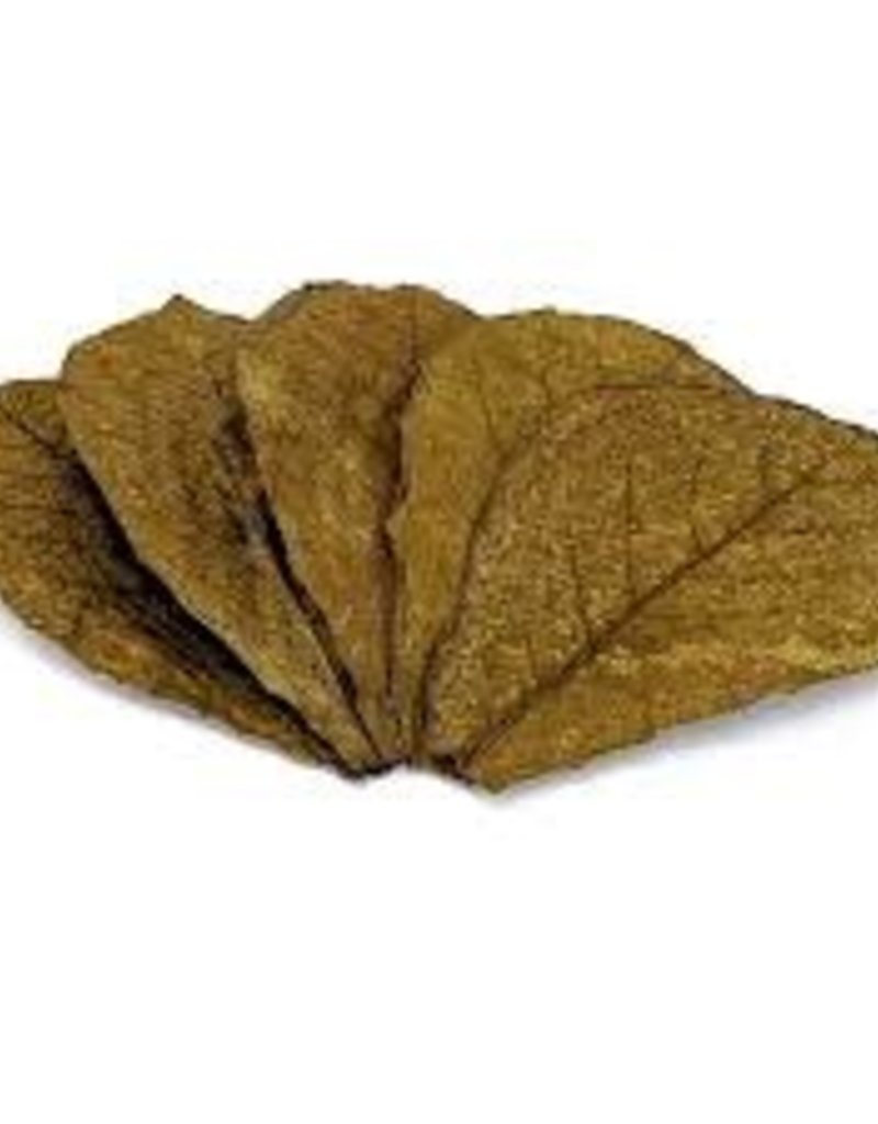 Indian Almond Leaves - Small