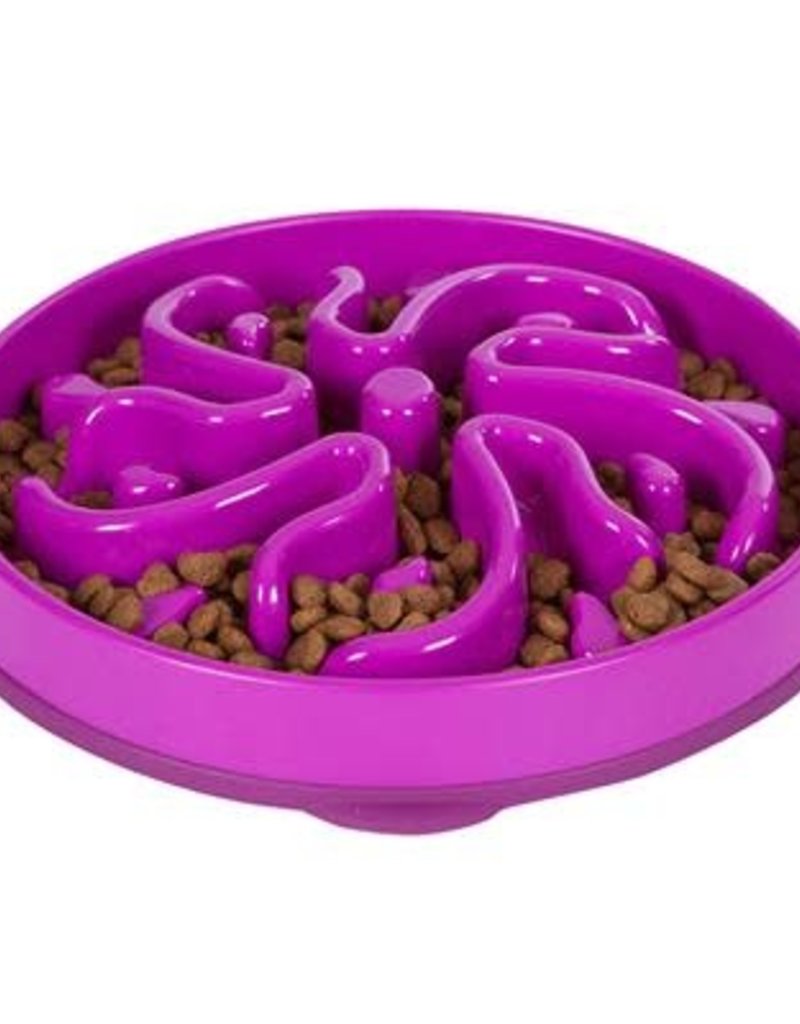 Outward Hound Outward Hound Fun Feeder Flower Purple - Regular 4 Cup