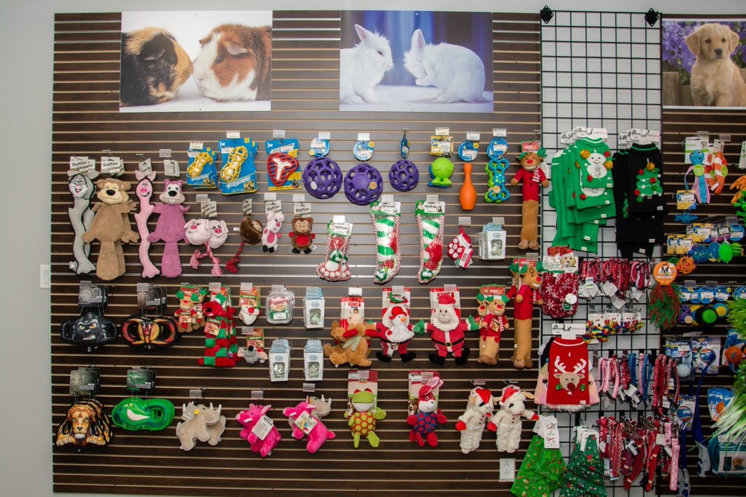 Dog Toy Wall