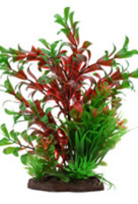Fluval Fluval Aqualife Plant Scapes Red Ludwigia/Dwarf Sagittarius Plant Mix - 20 cm (8 in)