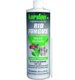 Kordon Kordon Rid Fungus 16oz