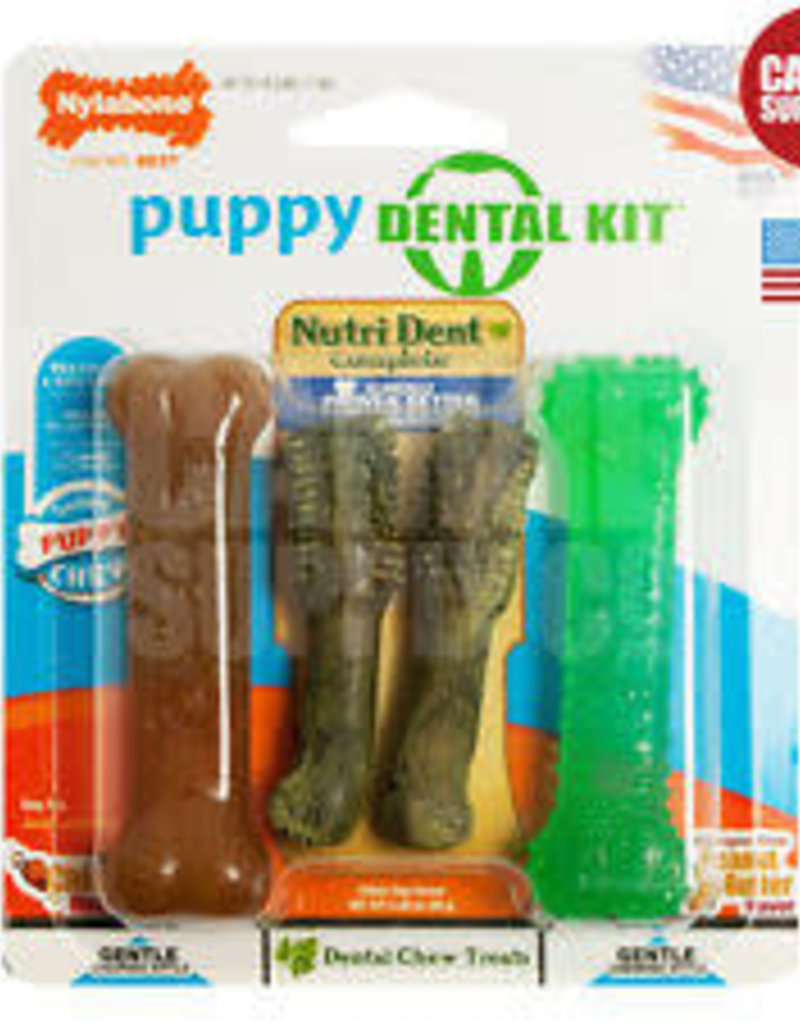 nylabone 4 pack