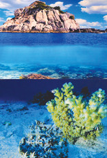 Underwater Treasures Underwater Treasures Yellow Coral/Waves Stone Reversible Background 24" - Sold by the FOOT