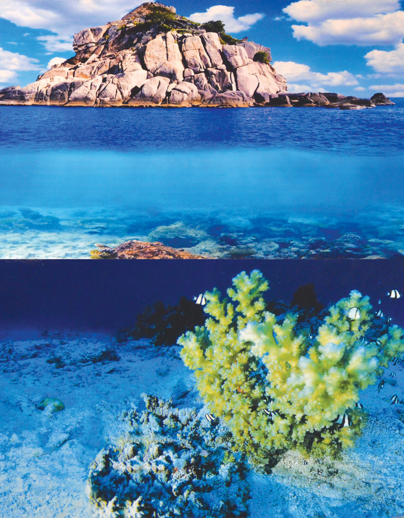 Underwater Treasures Underwater Treasures Yellow Coral/Waves Stone Reversible Background 24" - Sold by the FOOT