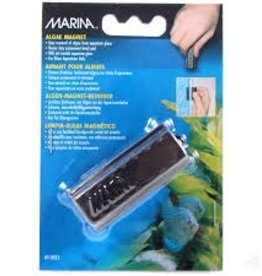Marina Marina Algae Magnet - Small