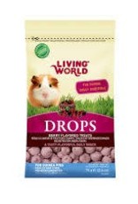 Living World Treat Guinea Pig - Fieldberry Flavour - 75g
