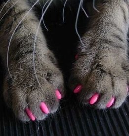 soft claws petsmart