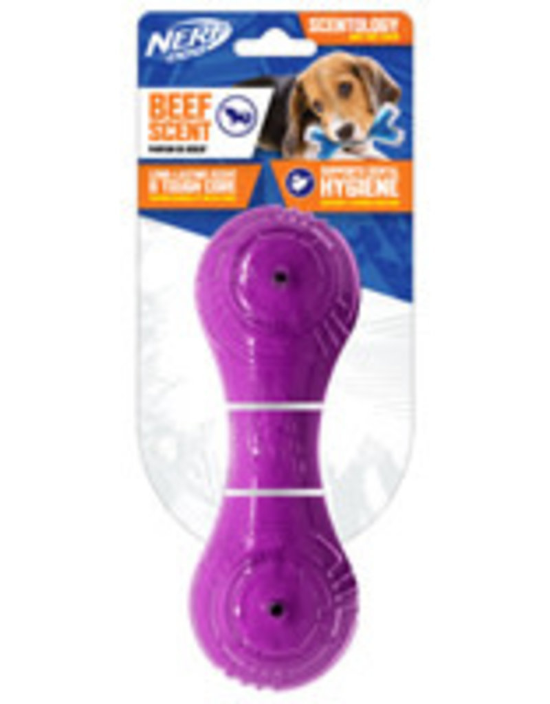 Nerf Dog Nerf Dog Scentology Barbell - Beef Scent - Purple