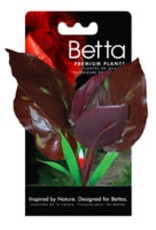 Fluval Fluval Betta Red Lizard Plant - 15 cm (6 in)