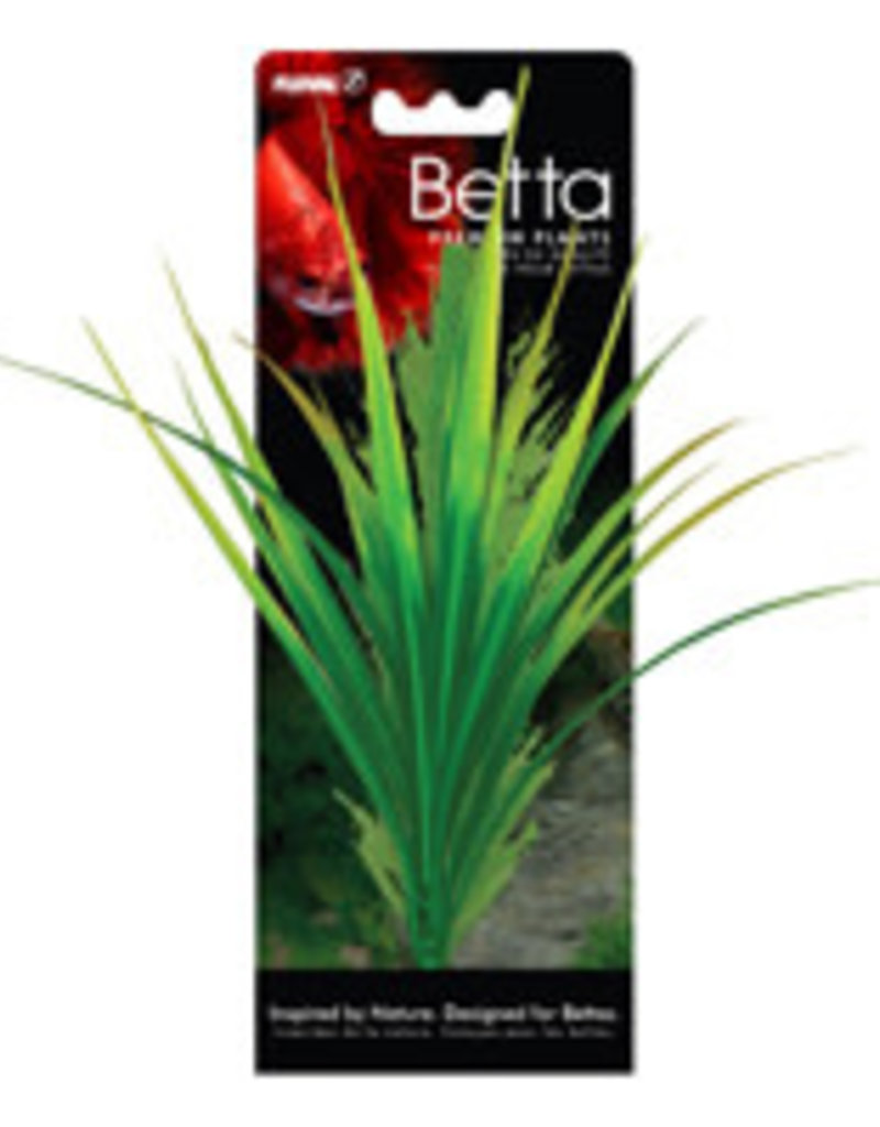 Fluval Fluval Betta Premium Yellow Parrot Plant -  20 cm (8 in)