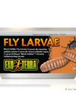 Exo Terra Exo Terra Canned Black Solider Fly Larvae - 34 g (1.2 oz)