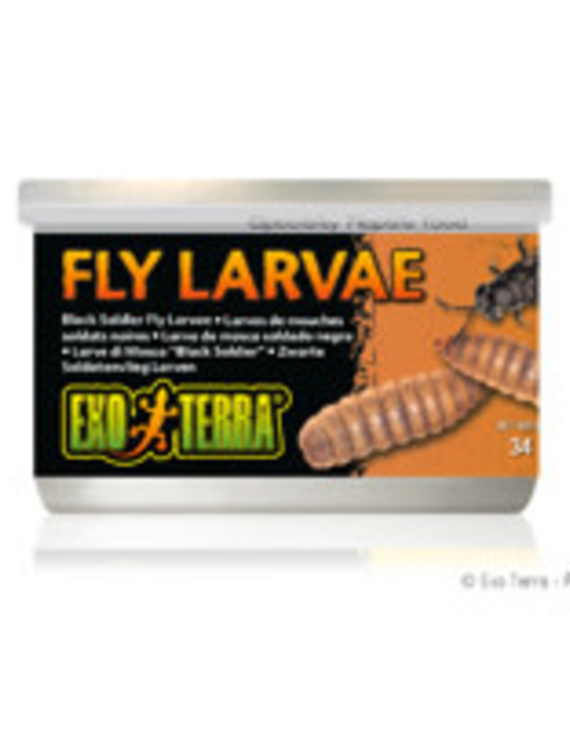 Exo Terra Exo Terra Canned Black Solider Fly Larvae - 34 g (1.2 oz)