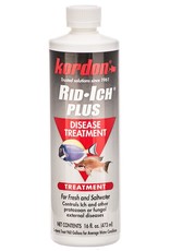 Kordon Kordon Rid + Ich Disease Treatment 16oz