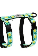 RC Pets RC Pets Kitty Harness M Pineapple Parade