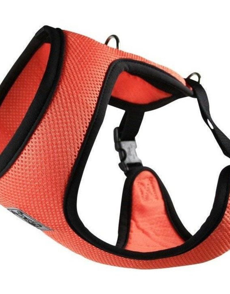 rc pets step in cirque harness