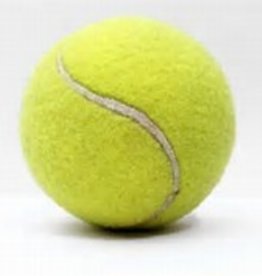 Tennis Dogs  Medium Bouncy Balls 4 pack