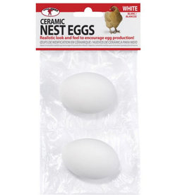 Little Giant Farm Little Giant Ceramic Nest Eggs - 2pk White