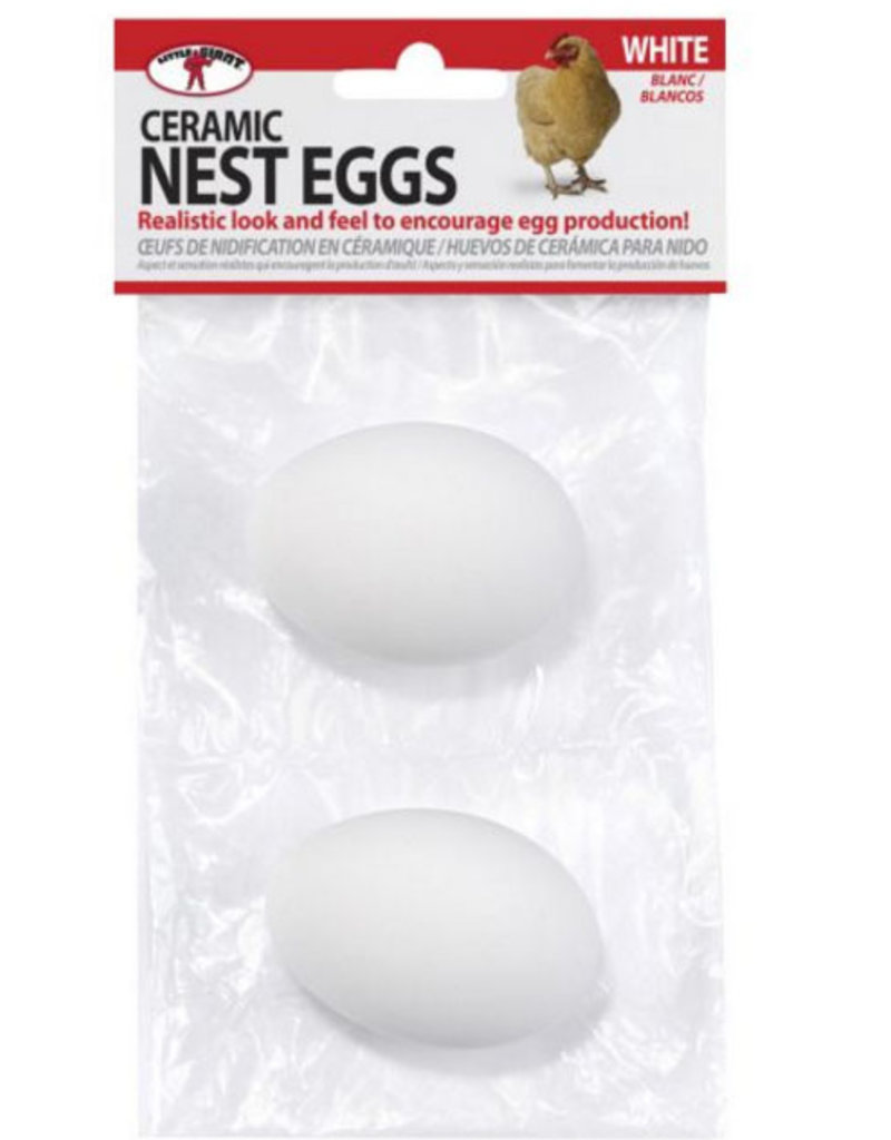 Little Giant Farm Little Giant Ceramic Nest Eggs - 2pk White