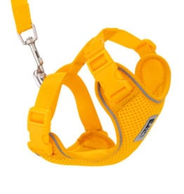 RC Pets RC Pets Adventure Kitty Harness M Marigold