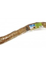 Bulk - Tubester Trachea 17-21"