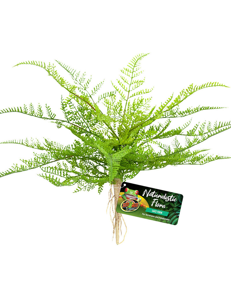 Zoo Med Zoo Med Naturalistic Flora - Lace Fern