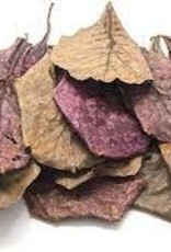 Catappa Leaves - Singles