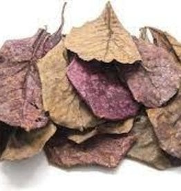 Indian Almond Leaves - Large