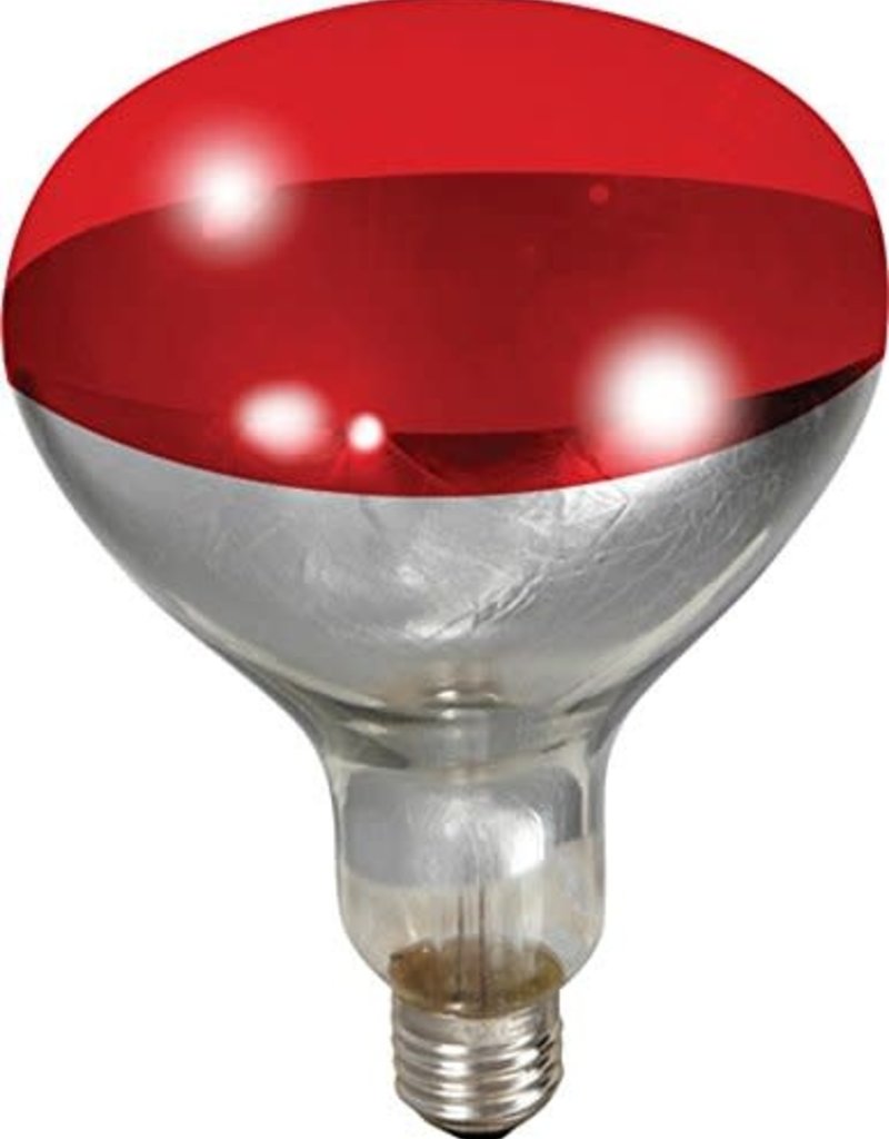 miller Miller Heat Bulb 250 Watts - Red