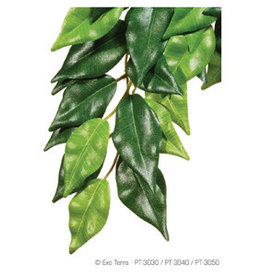 Exo Terra Exo Terra Silk Plant - Ficus - Small