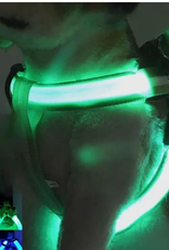 Wish Nylon LED Pet Dog Chest Strap, Flashing glow in the dark - Assorted sized (M, L, XL)