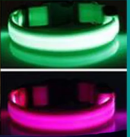 Wish Nylon LED Pet Dog Collar, Flashing glow in the dark - Assorted sized (XS, S, M, L, XL)