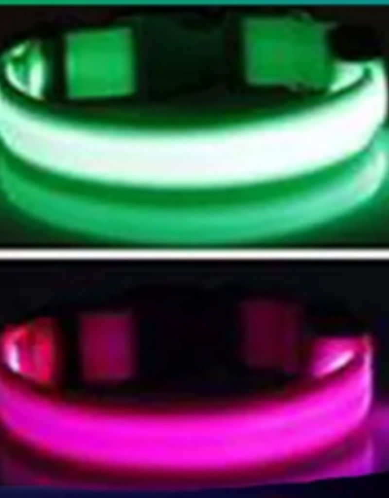 Wish Nylon LED Pet Dog Collar, Flashing glow in the dark - Assorted sized (XS, S, M, L, XL)