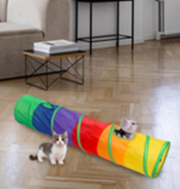 wish Pet Tunnel Game Rainbow Kitten