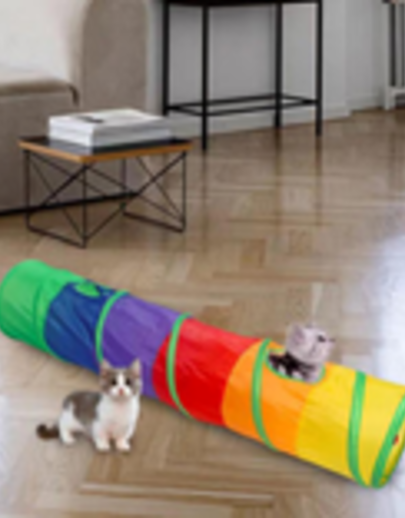 Wish Pet Tunnel Game Rainbow Kitten
