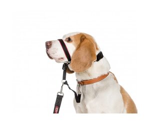 Halti Optifit Dog Headcollar Medium Halti Halti Optifit Head