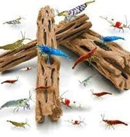 Shrimp Wood - Medium