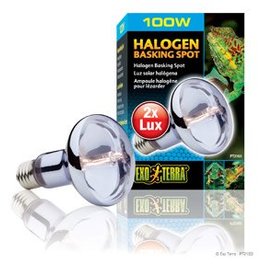 Exo Terra Exo Terra Halogen Basking Spot - 100 W