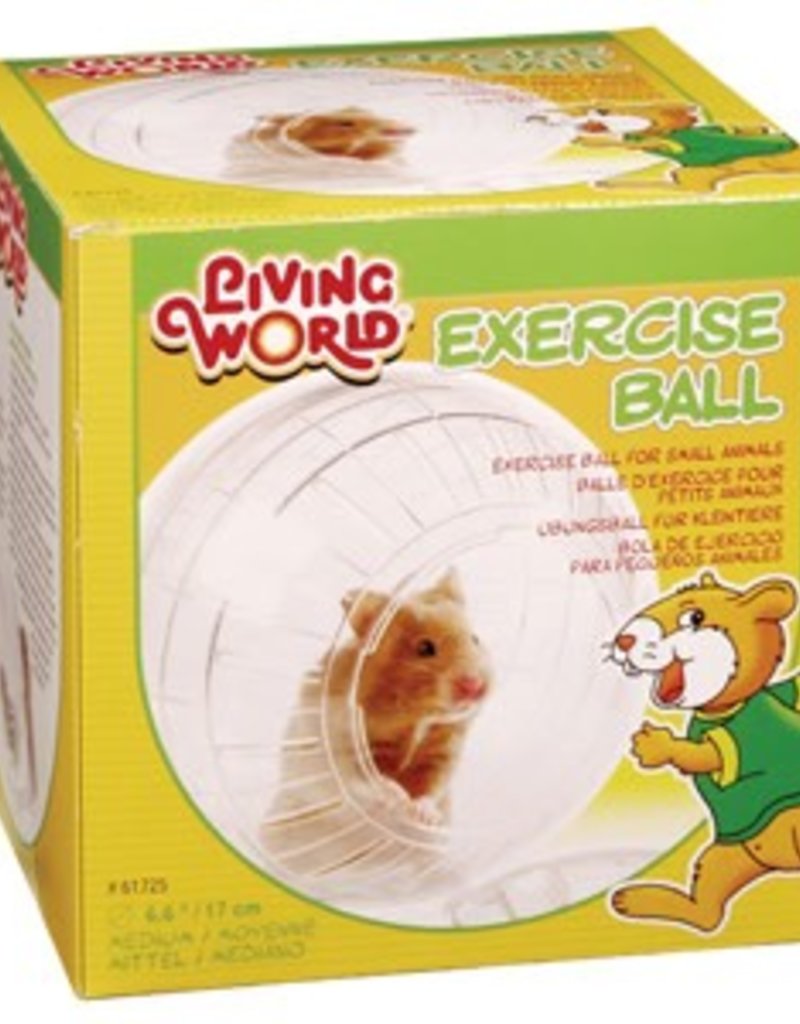 Living World Exercise Ball with Stand - Medium