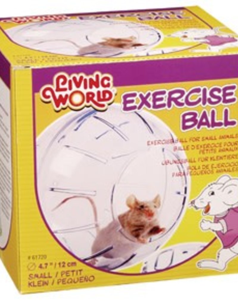 Living World Exercise Ball with Stand - Small