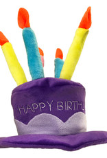 PETSPORT USA PetSport Happy Birthday Hat